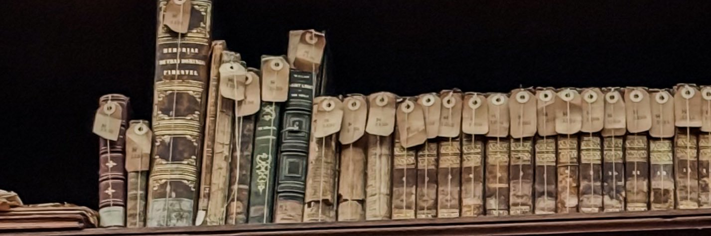 «🆂🅰🅽🅳🆈 🆂🅱 🤍✨». banner