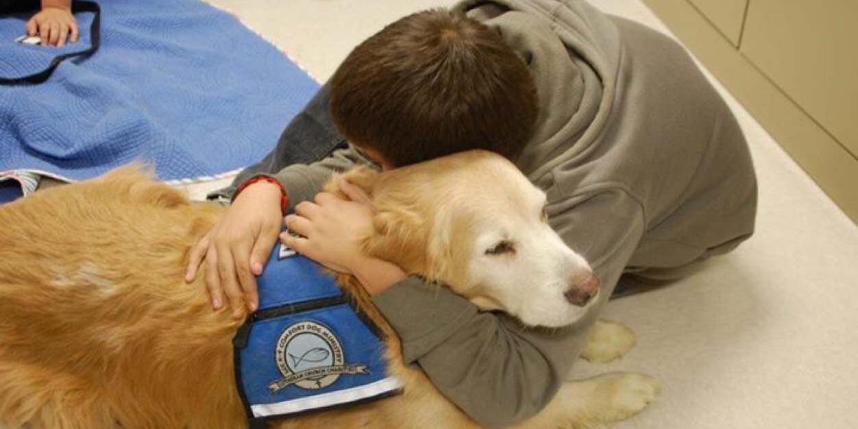 LCC K-9 Comfort Dogs banner