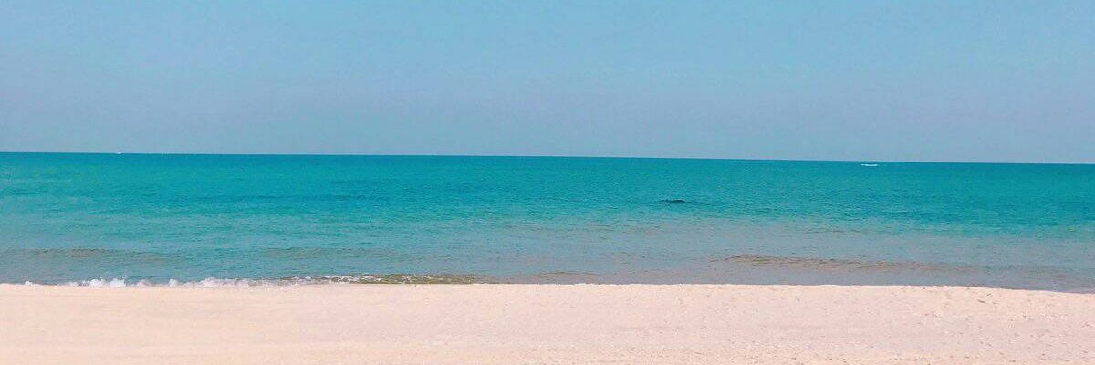 wiah_na99's profile banner image