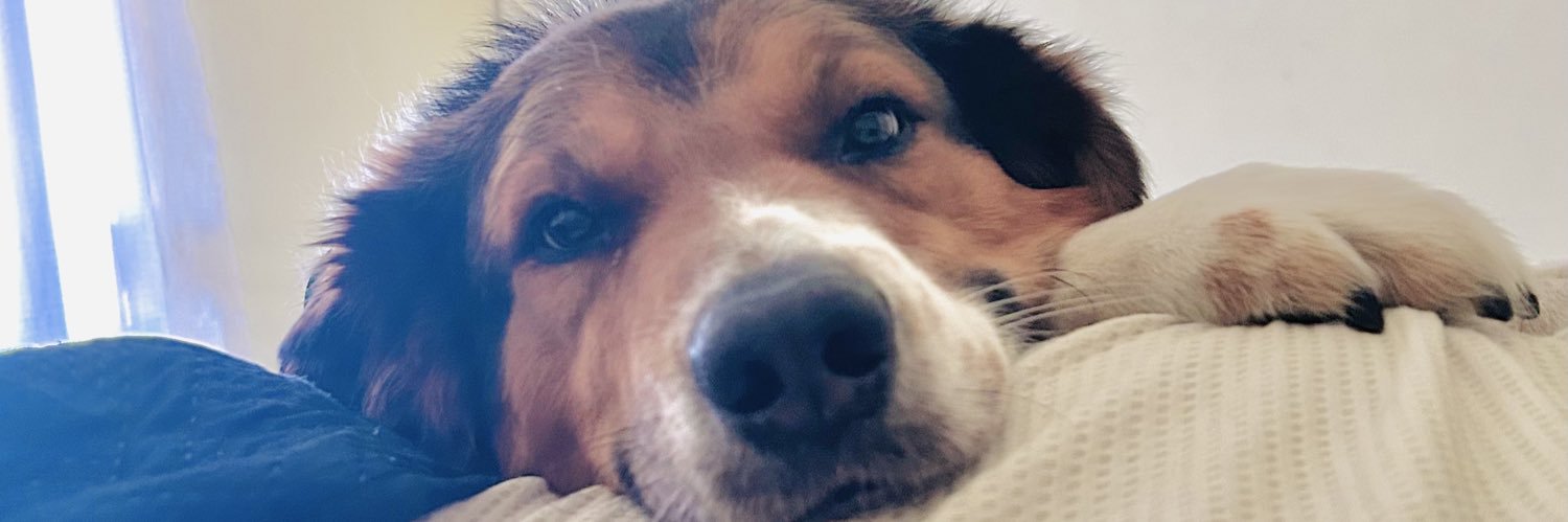 Danyditipy's profile banner image