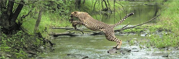 MPTourism Profile Banner