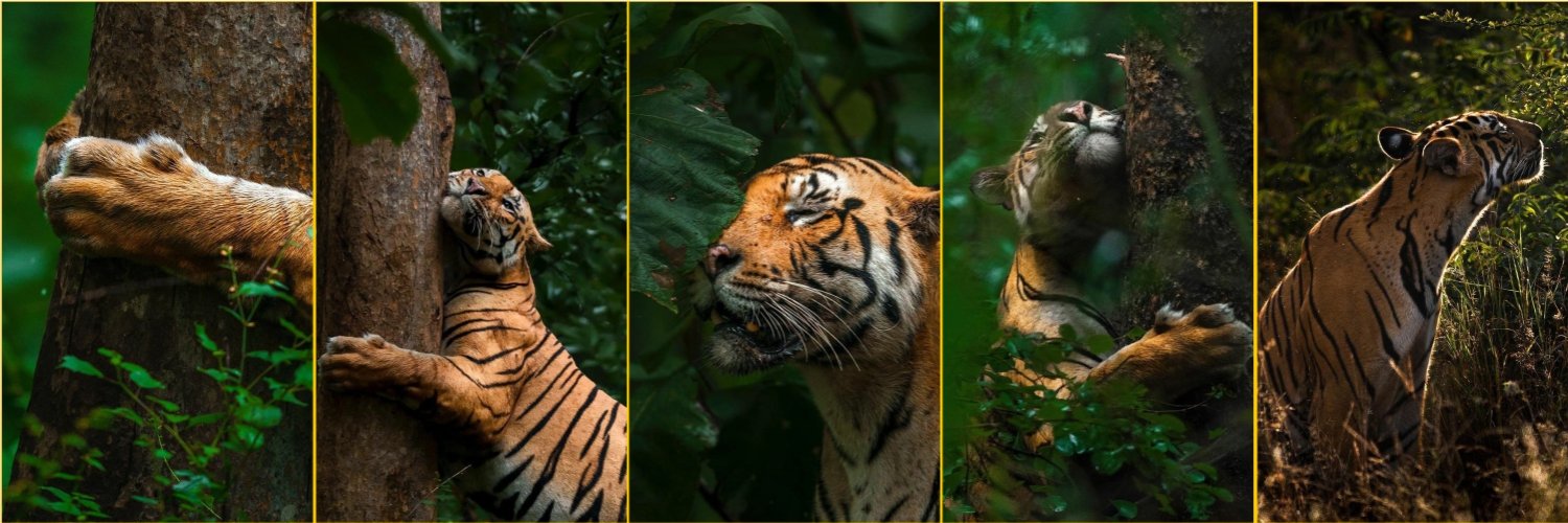 Madhya Pradesh Tourism banner