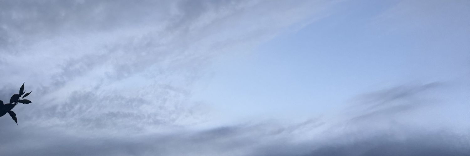 imynmyn_'s profile banner image