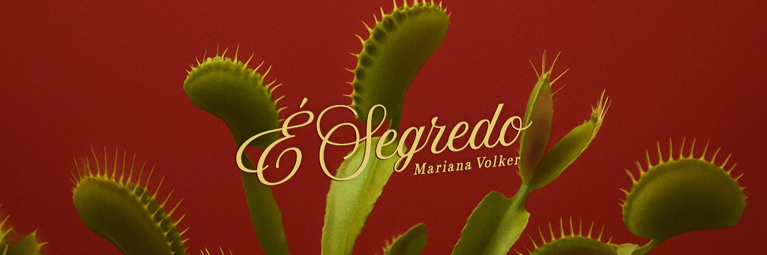MarianaVolker's profile banner image