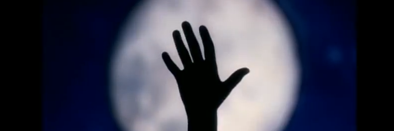 LoebTrotters's profile banner image