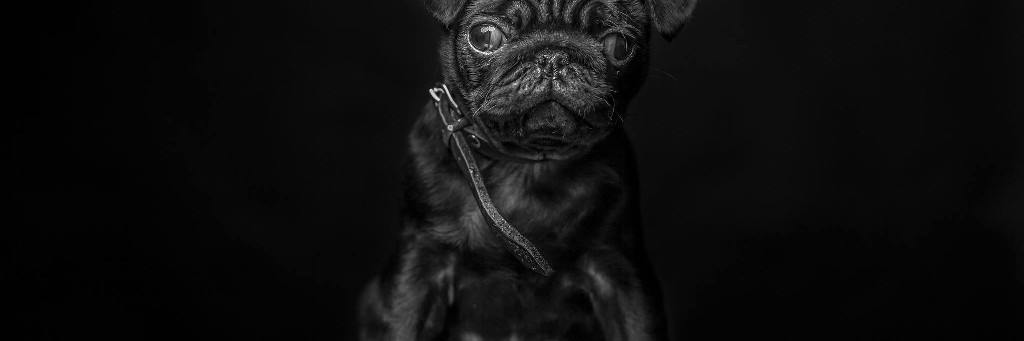 Dr.Fliesstext banner