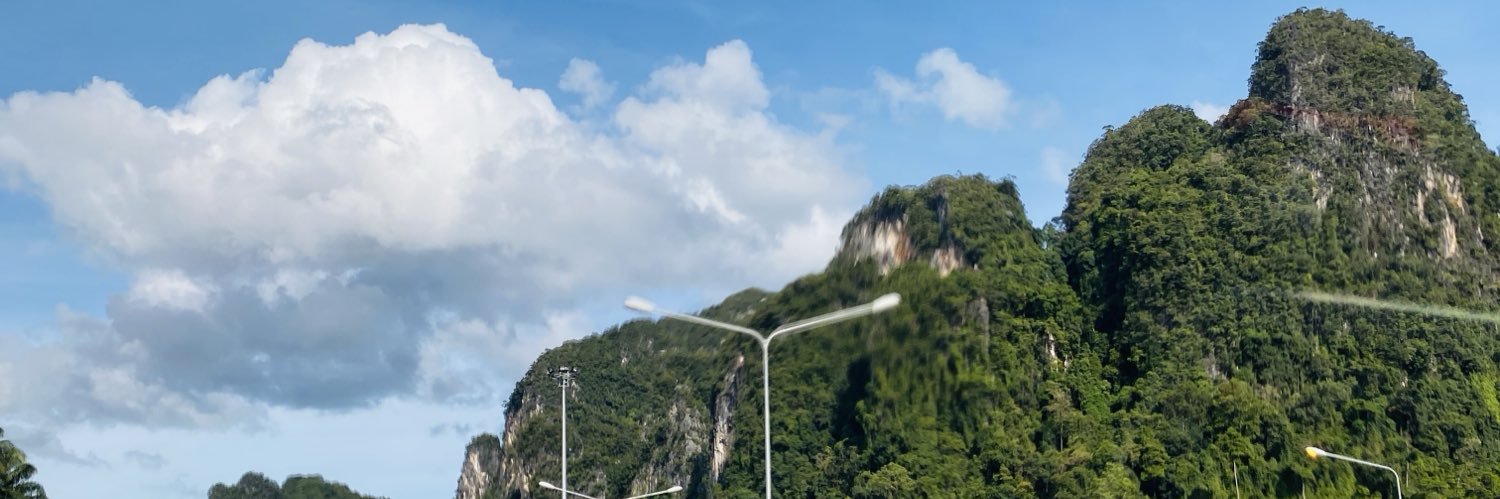feldmannonline's profile banner image