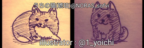 NORAS_sofvi Profile Banner