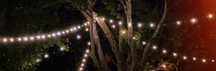 moserbarbi's profile banner image