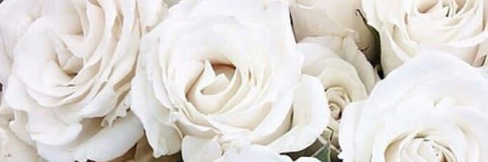 MarianneDiamond's profile banner image