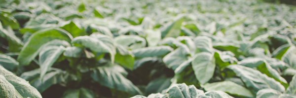 AnnieHeadSTEM Profile Banner