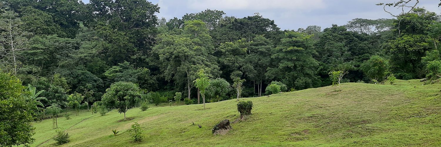 Le Voyageur. ,✈️ banner