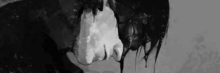 luisinallblack's profile banner image