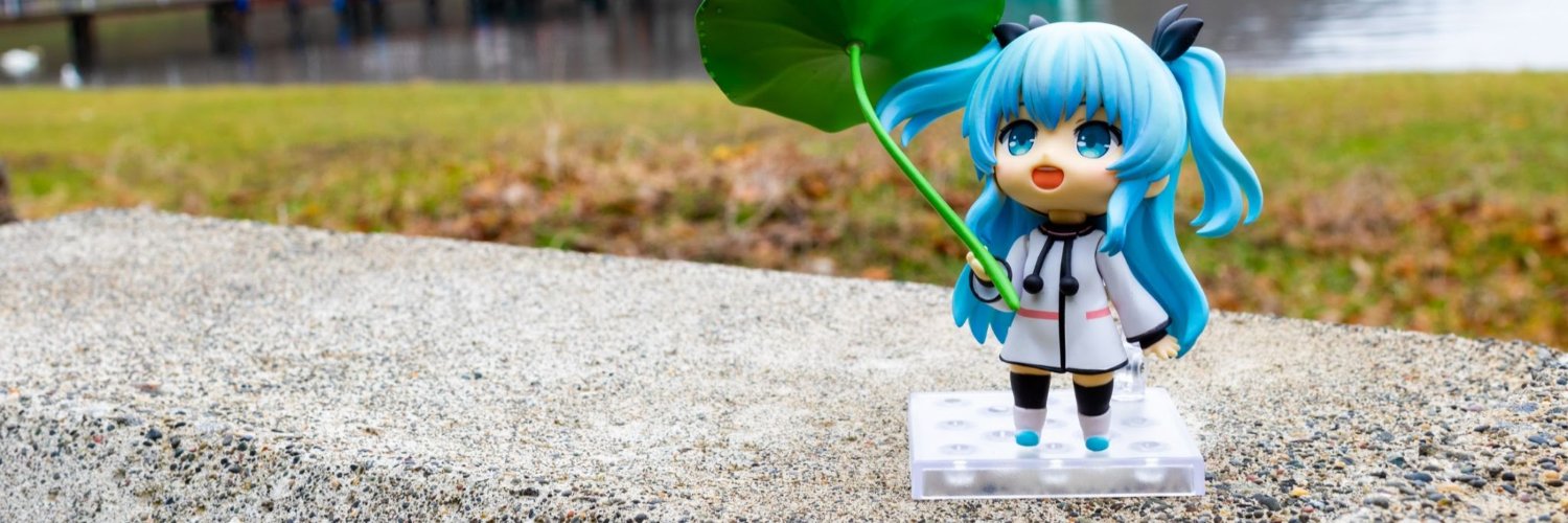 キッター📸 banner