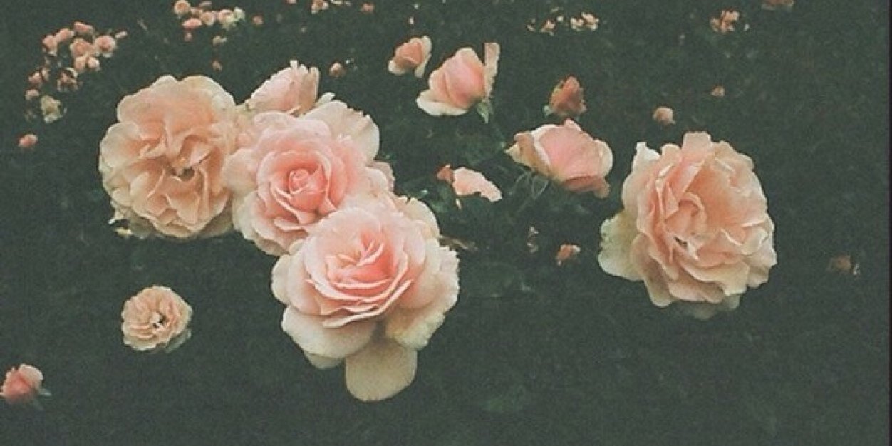 BitchImNikki's profile banner image