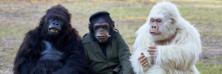 ITV2EvilMonkeys's profile banner image