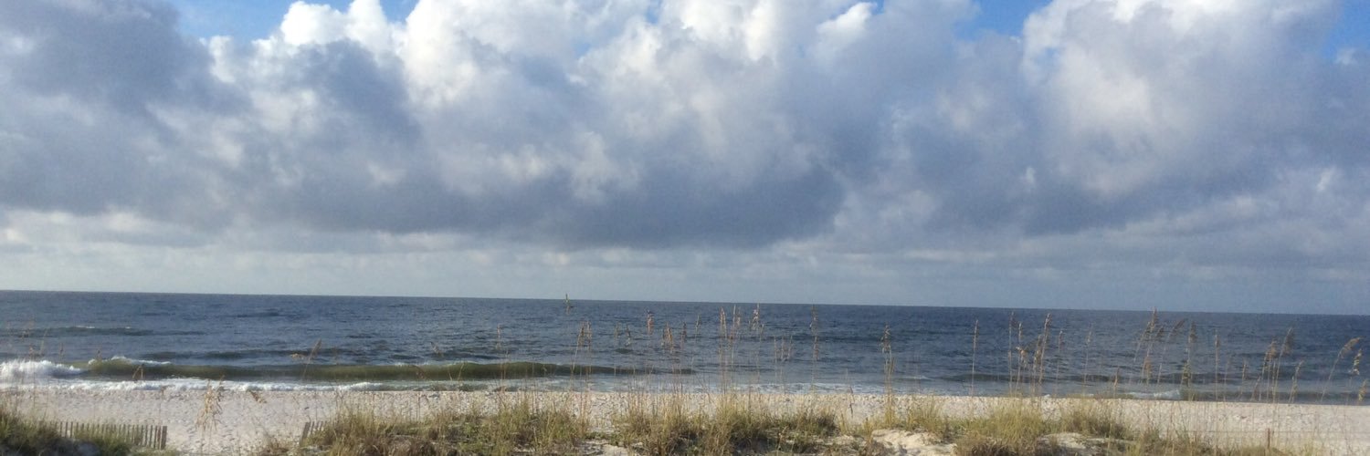 DebbieHPerry's profile banner image