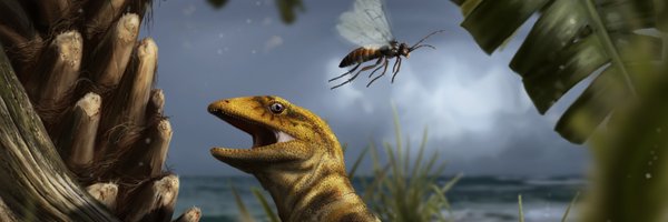 paleoTsimoes Profile Banner