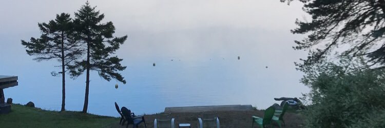 Kathleen Foley banner