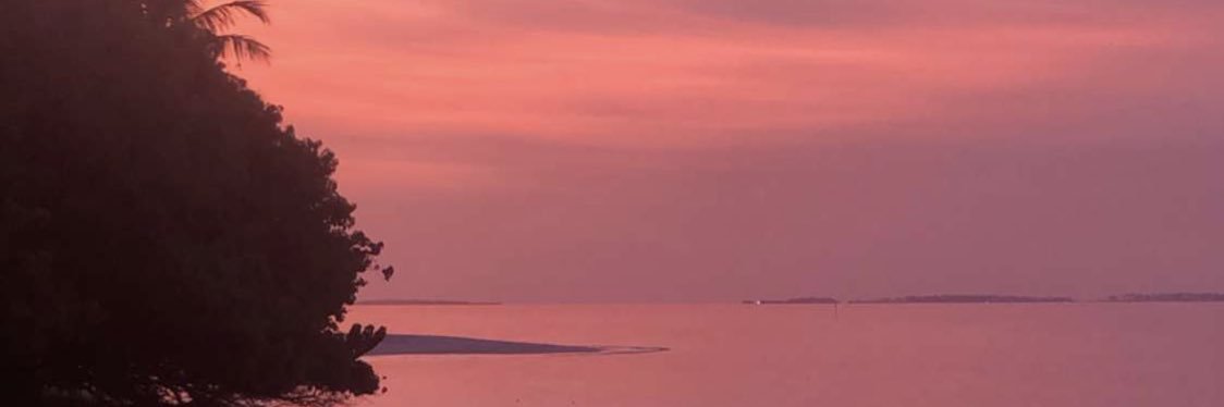 sunsetlovers__'s profile banner image