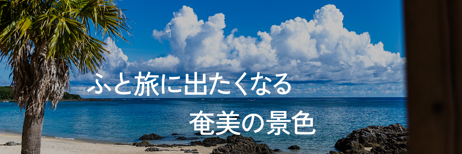 Minoru Satomura | 奄美大島の風景 banner