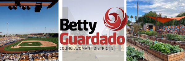 PHXDistrict5 Profile Banner