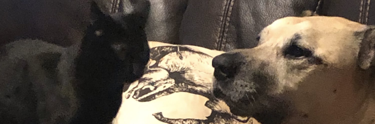 Stacey Schultz-Cherry banner