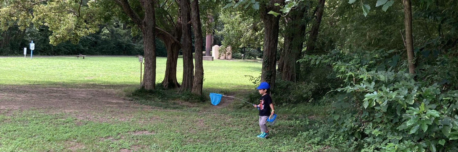 やなぎ🌳 banner