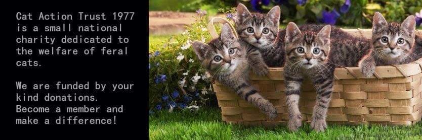 Cat Action Trust 1977 Leeds banner