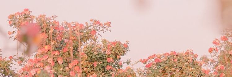 _vicky__louise's profile banner image