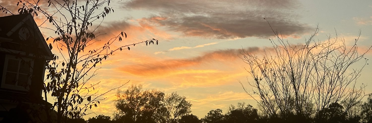 allilerner's profile banner image
