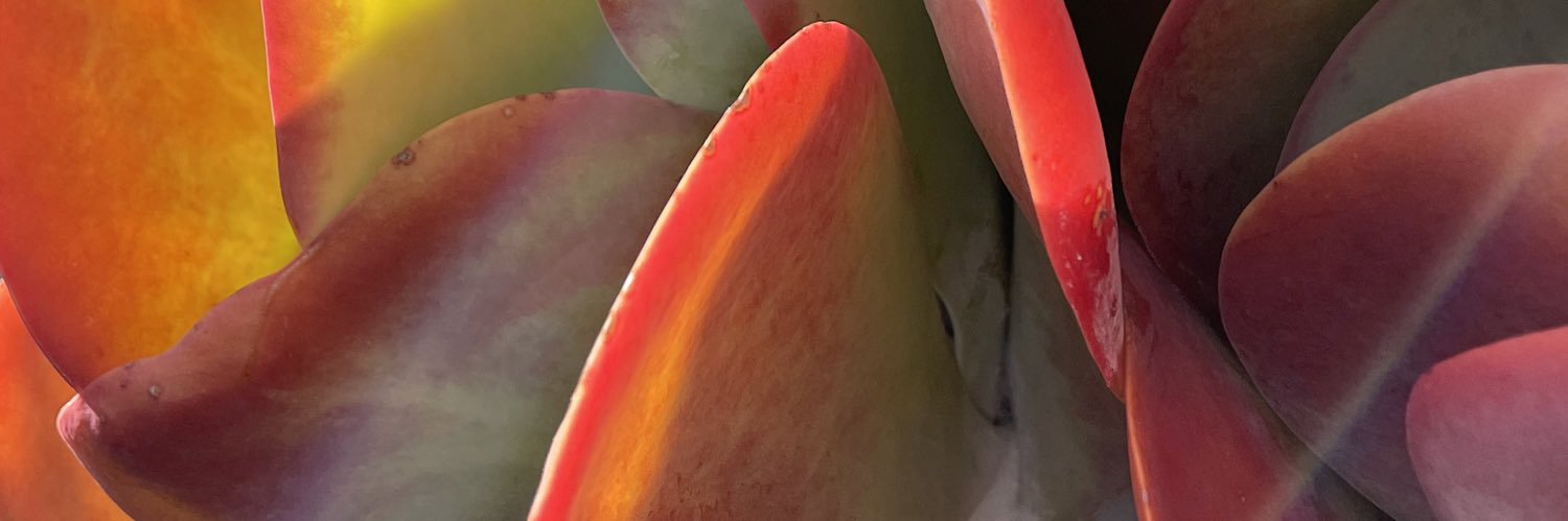 juliedavisart's profile banner image