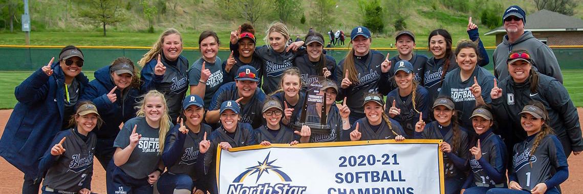 Dickinson State Softball banner