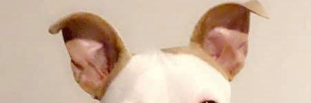 NicholasBorton's profile banner image