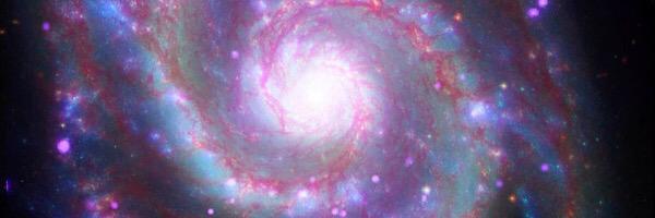 Cassidi_Johnson's profile banner image