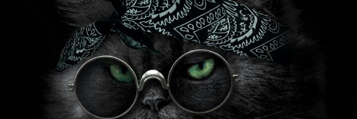 ann45055's profile banner image
