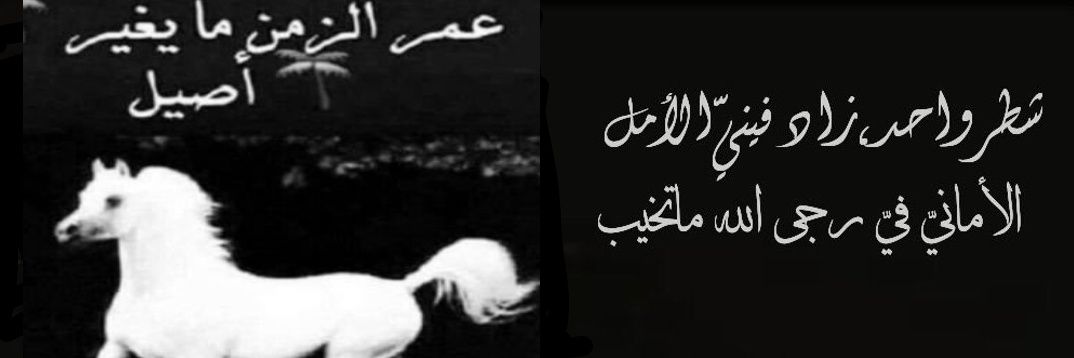 الاصيله🐎ربى قل لأحلامى كوني💛💙 banner