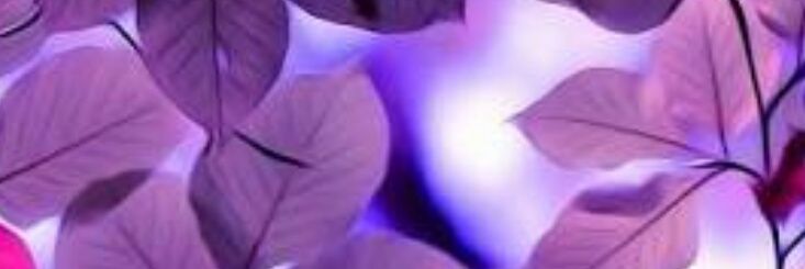 mimelyz's profile banner image