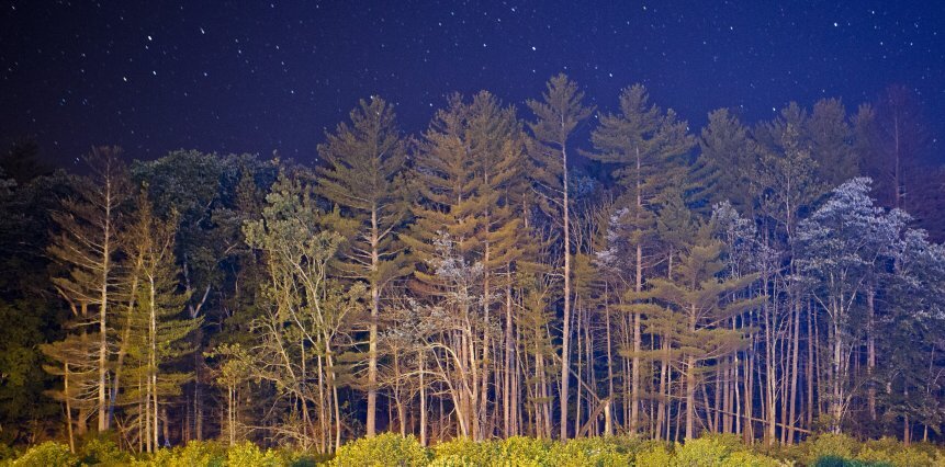 rfq_21's profile banner image