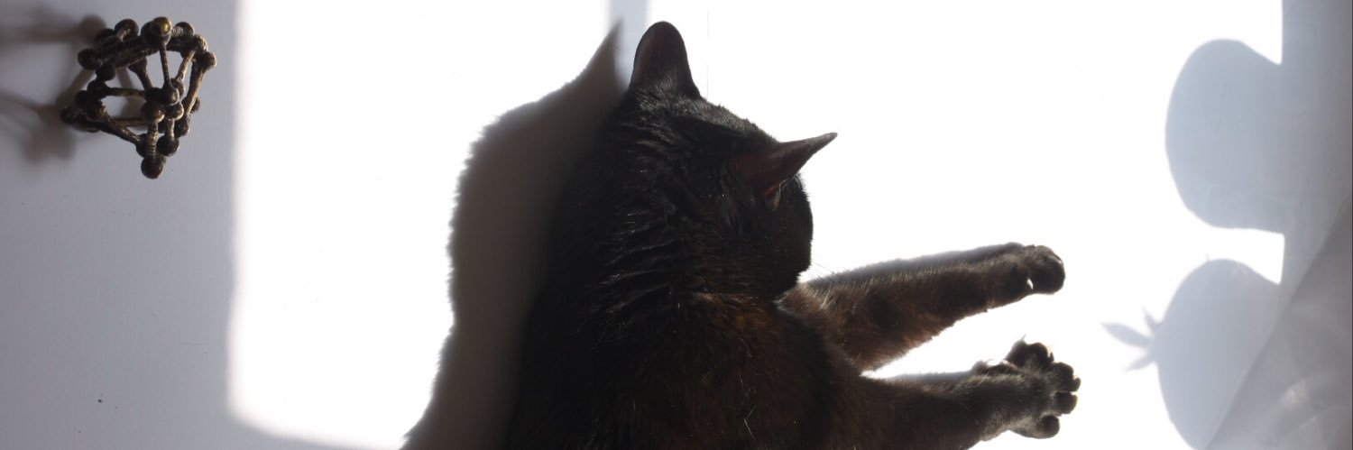 evikeszurke's profile banner image