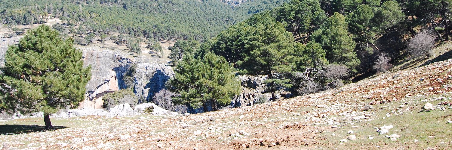 Gesnature Ingeniería banner