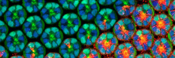 QuantBiology Profile Banner