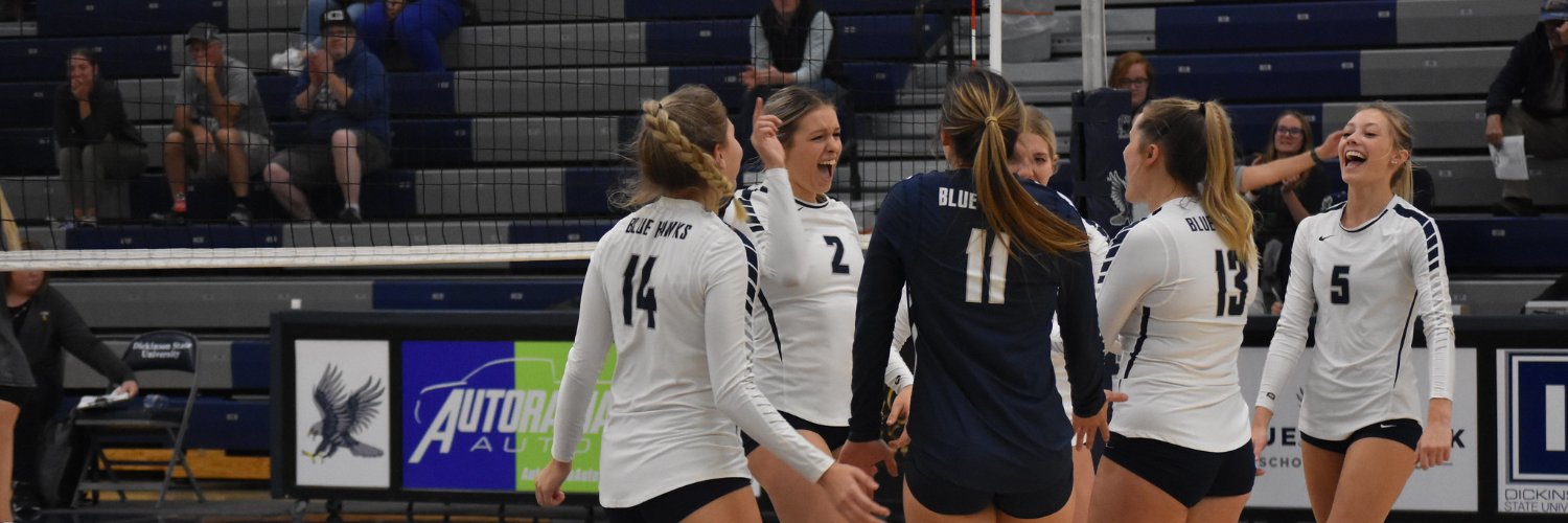Dickinson State Volleyball banner
