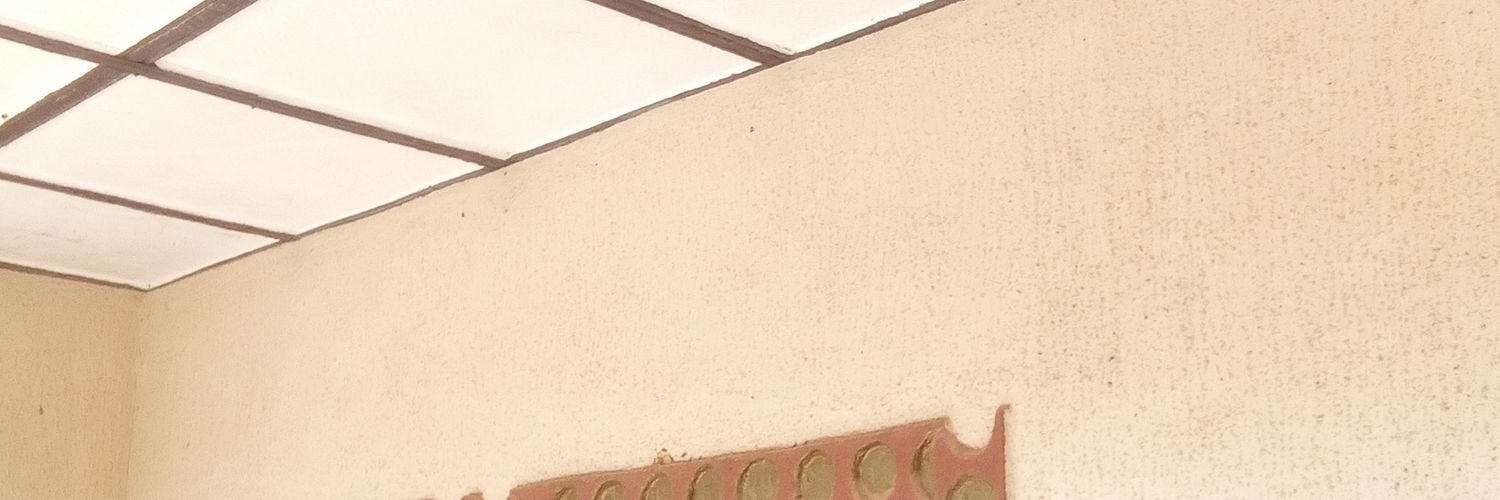 Mr Nice Guy banner