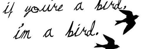 Barbieblonde07's profile banner image