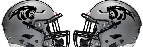 Austin Eastside Panthers Football banner