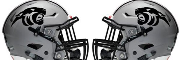 PawsUp_Football Profile Banner