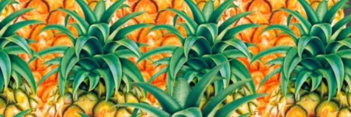 pourposky's profile banner image