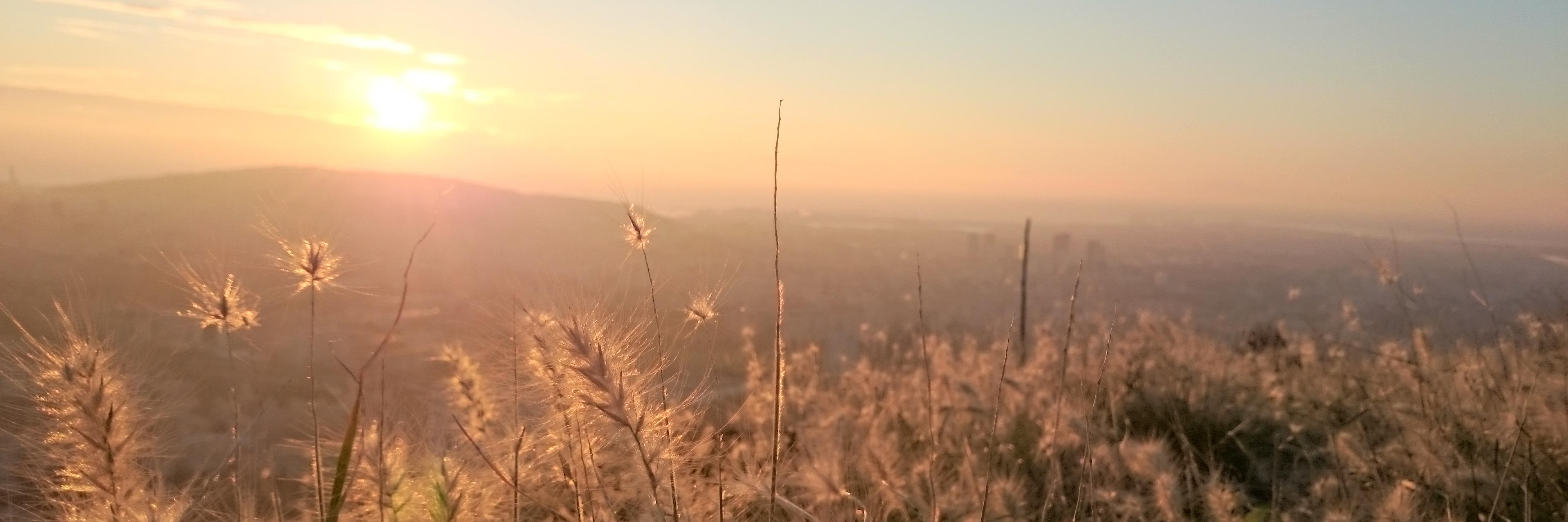 oriolj's profile banner image