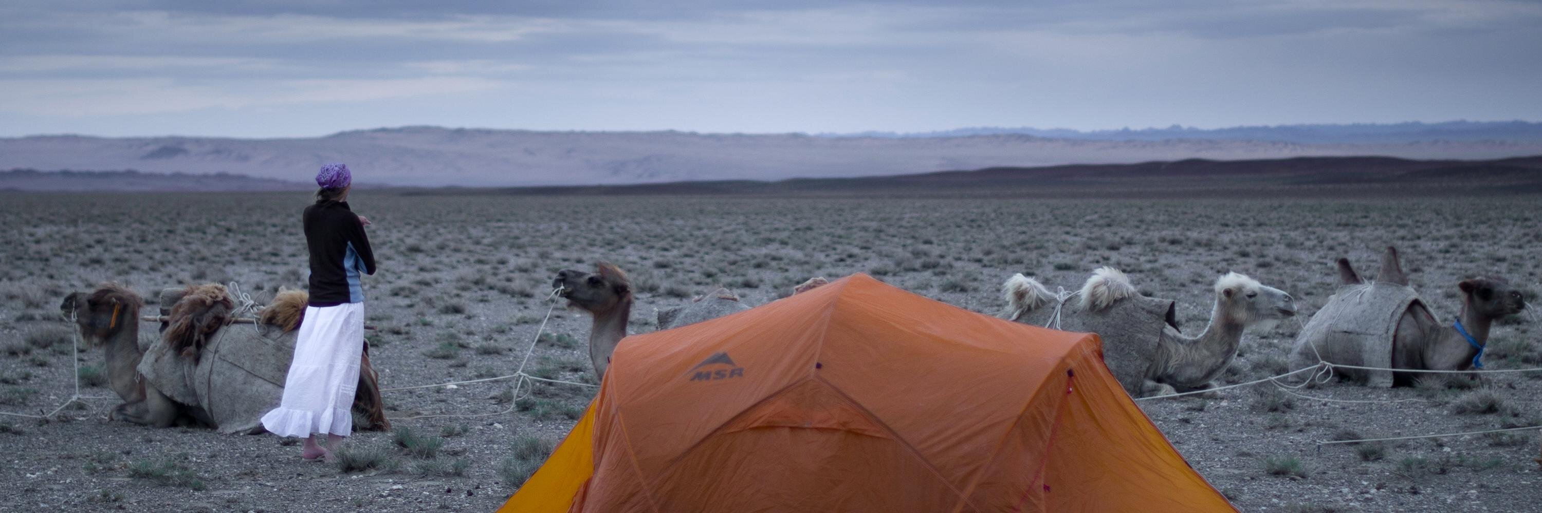 Lauren Sullivan banner